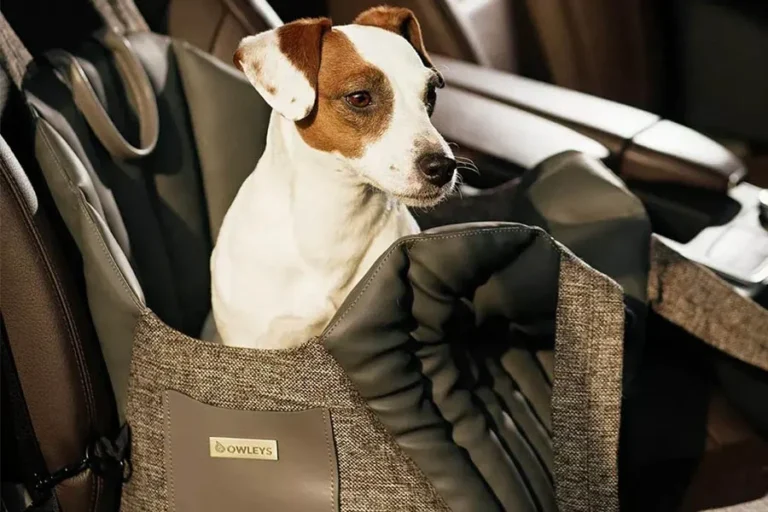 Carrier Car Seat For Dogs