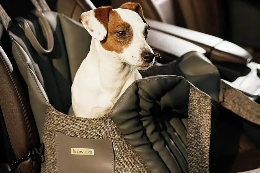 Carrier Car Seat For Dogs