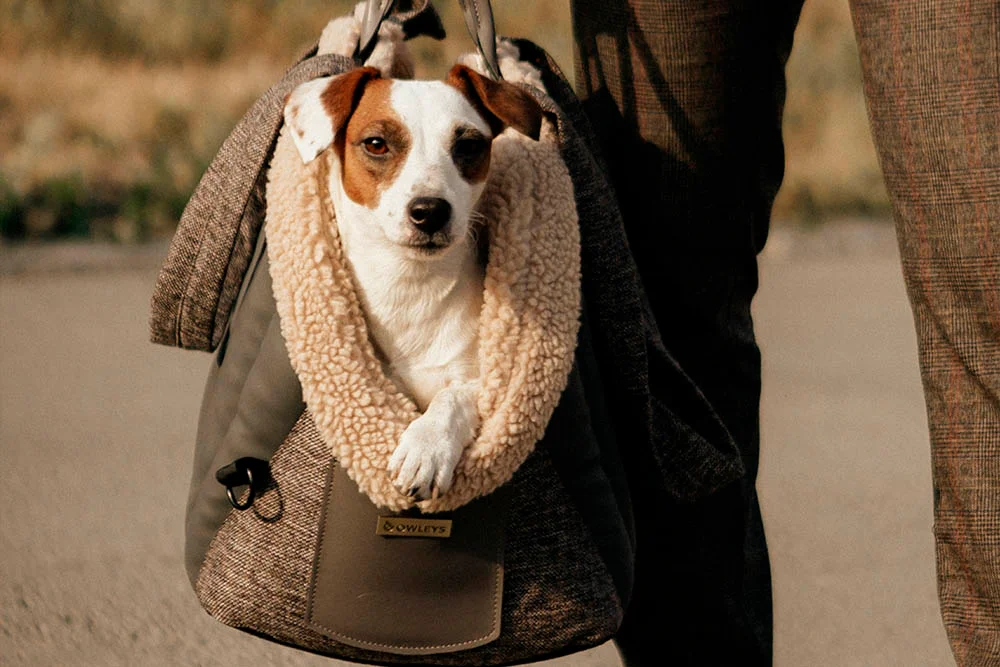 Pet Car Seat Carrier