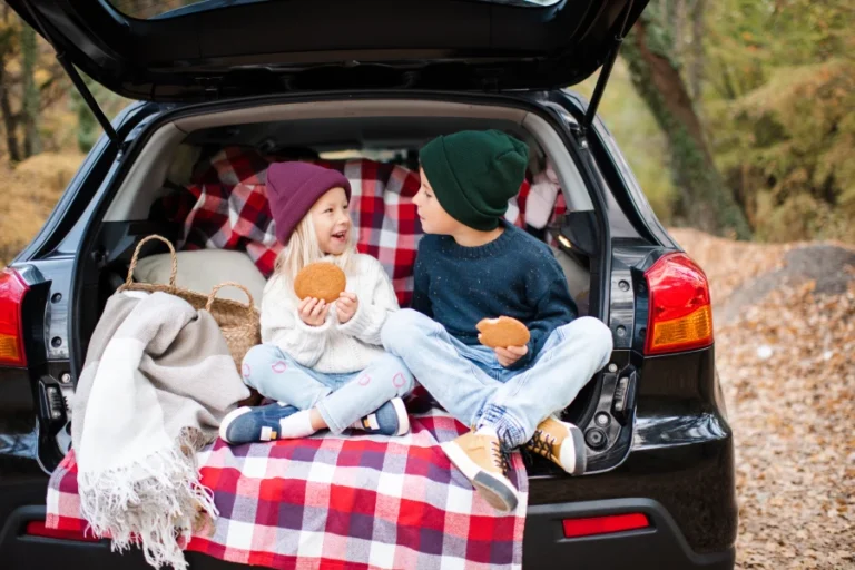 Car organizer with trash holder